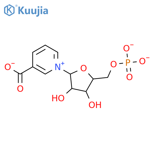 Nicotinic acid mononucleotide structure