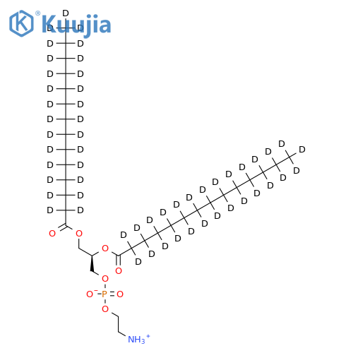 14:0 PE-d54 structure
