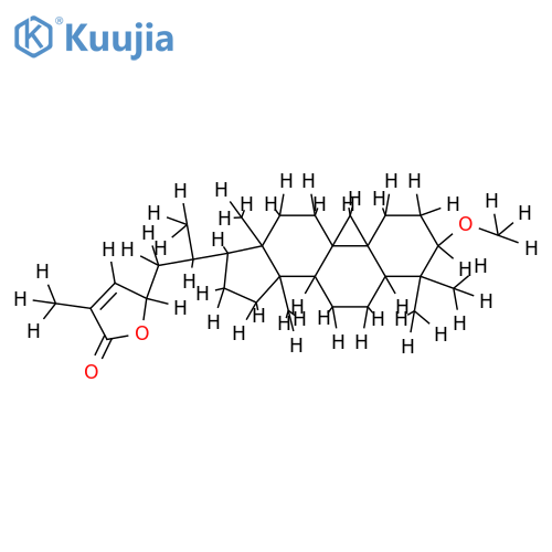Epicyclograndis-olid structure