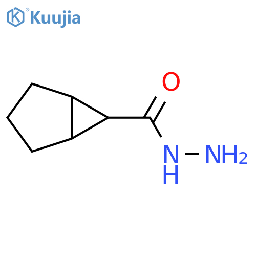 Bicyclo[3.1.0]hexane-6-carbohydrazide structure