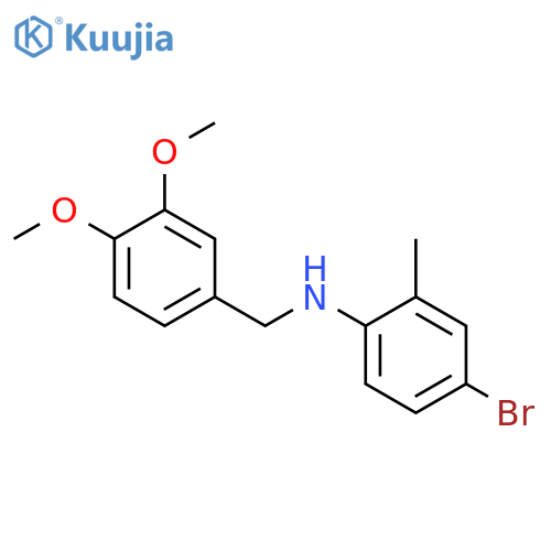(4-bromo-2-methylphenyl)(3,4-dimethoxybenzyl)amine structure
