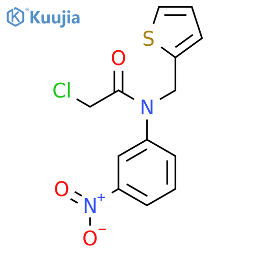 2-chloro-N-(3-nitrophenyl)-N-(thiophen-2-yl)methylacetamide structure