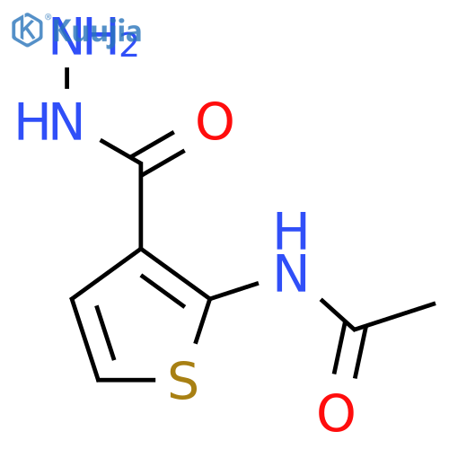 N-[3-(hydrazinecarbonyl)thiophen-2-yl]acetamide structure