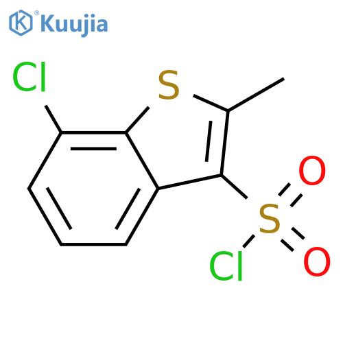 7-chloro-2-methyl-1-benzothiophene-3-sulfonyl chloride structure
