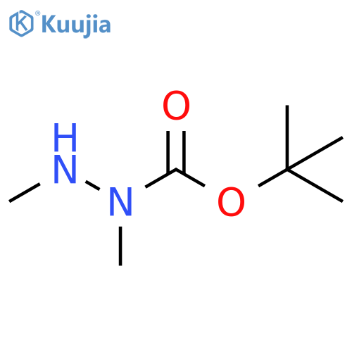 N,N'-dimethyl(tert-butoxy)carbohydrazide structure