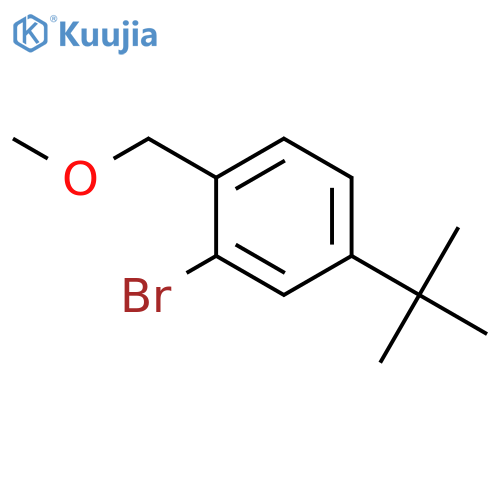 Benzene, 2-bromo-4-(1,1-dimethylethyl)-1-(methoxymethyl)- structure