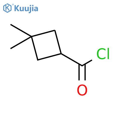 3,3-dimethylcyclobutane-1-carbonyl chloride structure