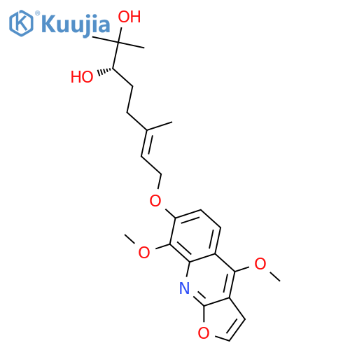 Haplotubine structure