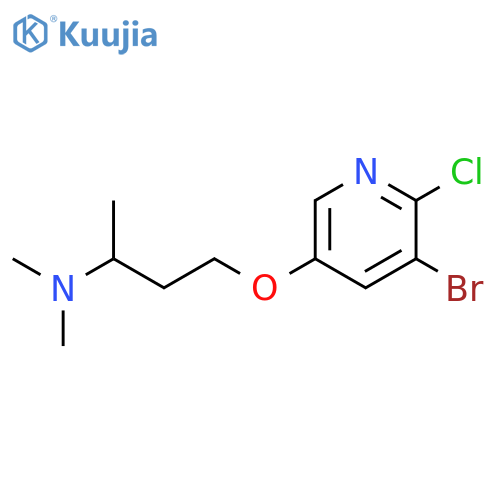 2-Butanamine, 4-[(5-bromo-6-chloro-3-pyridinyl)oxy]-N,N-dimethyl- structure