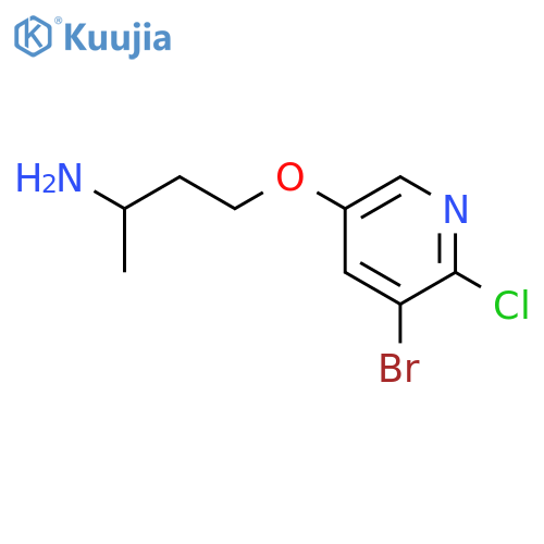 2-Butanamine, 4-[(5-bromo-6-chloro-3-pyridinyl)oxy]- structure