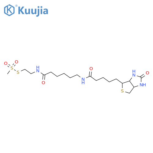 N-Biotinylcaproylaminoethyl Methanethiosulfonate structure