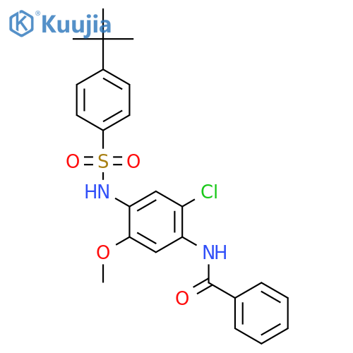 <br>N-(4-{[(4-tert-butylphenyl)sulfonyl]amino}-2-chloro-5-methoxyphenyl)benzami de structure