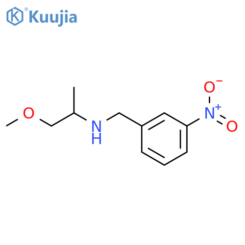 (2-methoxy-1-methylethyl)(3-nitrobenzyl)amine structure