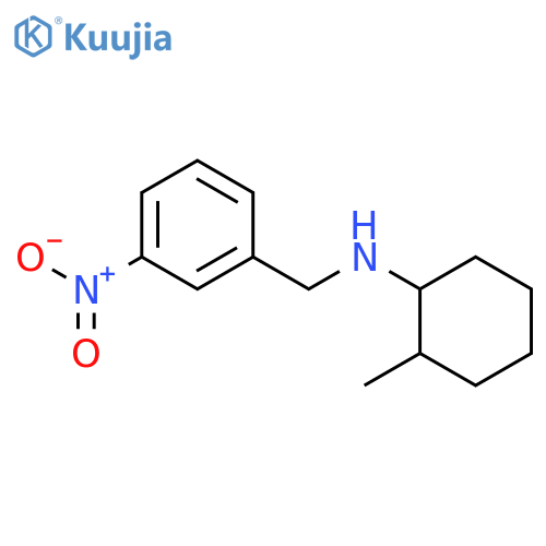 (2-Methylcyclohexyl)(3-nitrobenzyl)amine structure