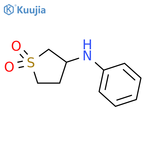 3-(phenylamino)-1λ?-thiolane-1,1-dione structure