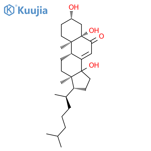 Riboflavin, radicalion(1-) structure