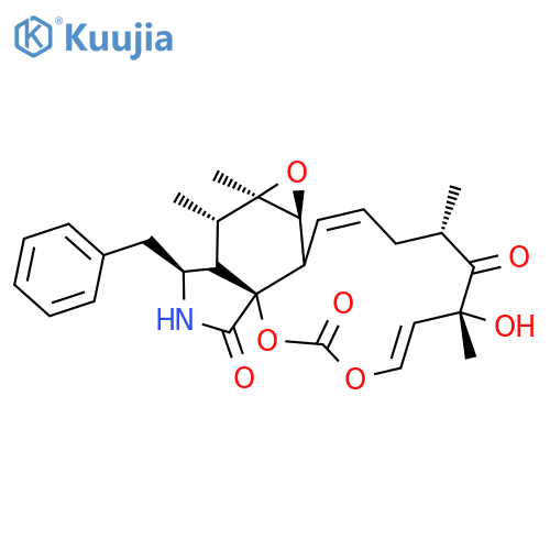 Cytochalasin E structure