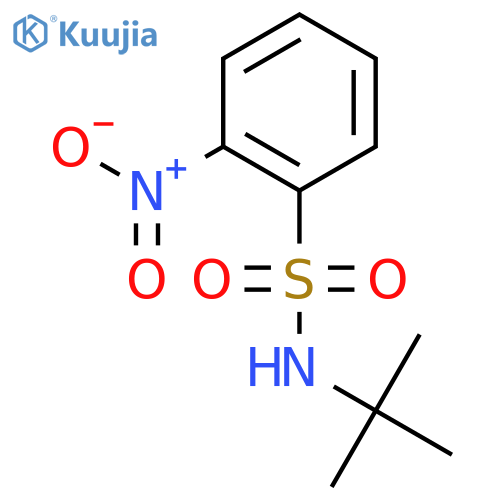 N-tert-butyl-2-nitrobenzenesulfonamide structure