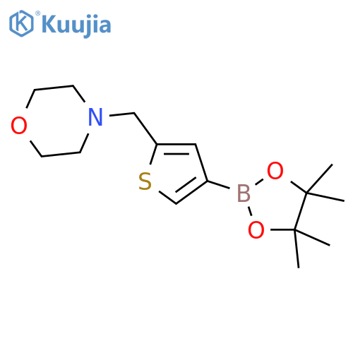 2-(morpholinomethyl)thiophen-4-boronic acid pinacol ester structure
