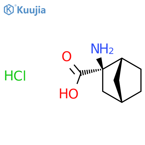 (1R,2R,4S)-2-aminonorbornane-2-carboxylic acid;hydrochloride structure