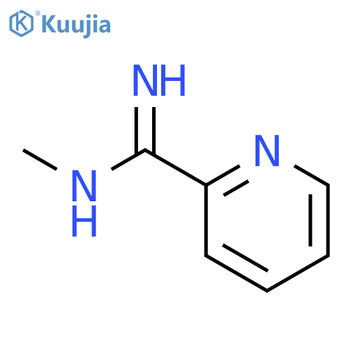 2-Pyridinecarboximidamide,N-methyl- structure