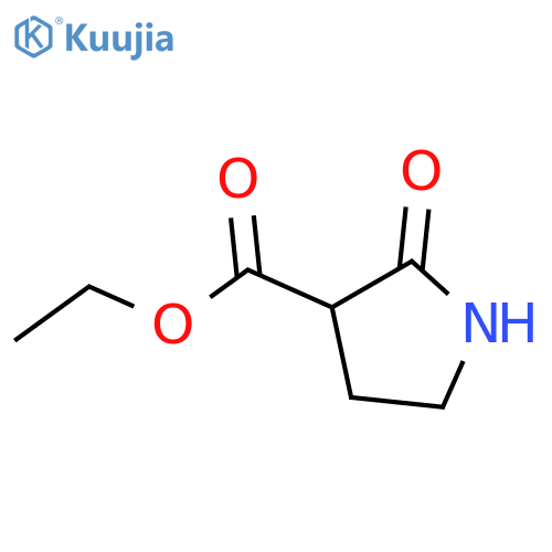 Ethyl 2-oxopyrrolidine-3-carboxylate structure