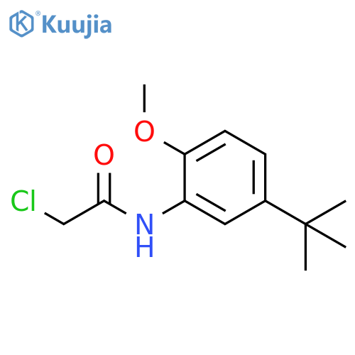 N-(5-tert-butyl-2-methoxyphenyl)-2-chloroacetamide structure