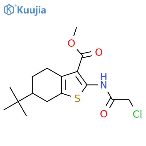 Methyl 6-tert-butyl-2-[(chloroacetyl)amino]-4,5,6,7-tetrahydro-1-benzothiophene-3-carboxylate structure
