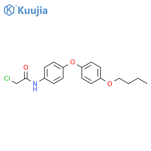 Acetamide, N-[4-(4-butoxyphenoxy)phenyl]-2-chloro- structure