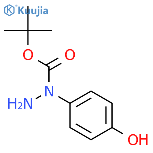 Hydrazinecarboxylic acid, 1-(4-hydroxyphenyl)-, 1,1-dimethylethyl ester structure