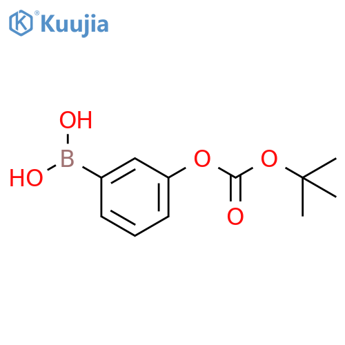 3-t-Butoxycarboxyphenylboronic acid structure