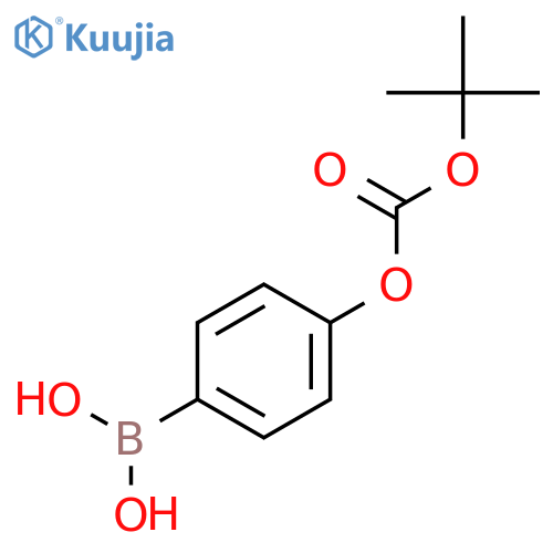 (4-((tert-Butoxycarbonyl)oxy)phenyl)boronic acid structure