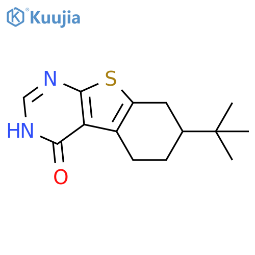 7-Tert-butyl-5,6,7,8-tetrahydro1benzothieno2,3-dpyrimidin-4(3H)-one structure
