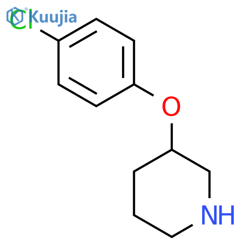 3-(4-Chlorophenoxy)piperidine structure