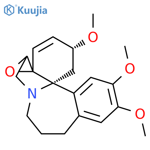 Wilsonine structure