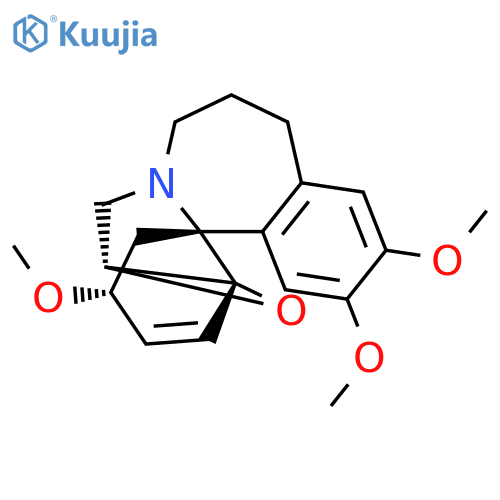 Wilsonine structure