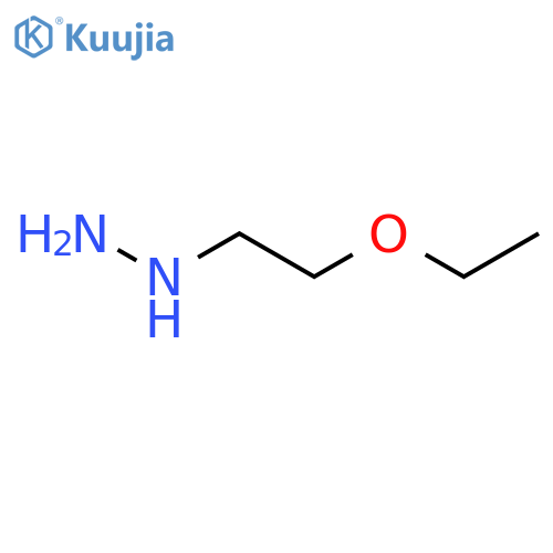 (2-ethoxyethyl)hydrazine structure