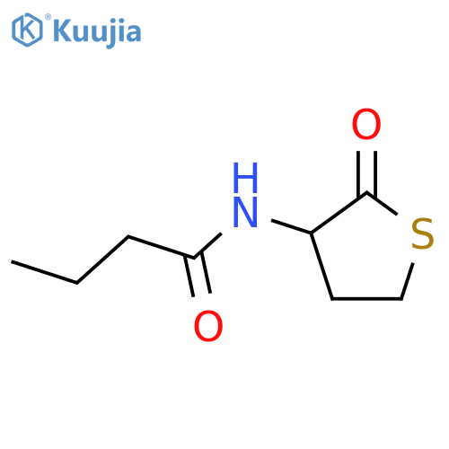 N-(Tetrahydro-2-oxo-3-thienyl)butanamide structure