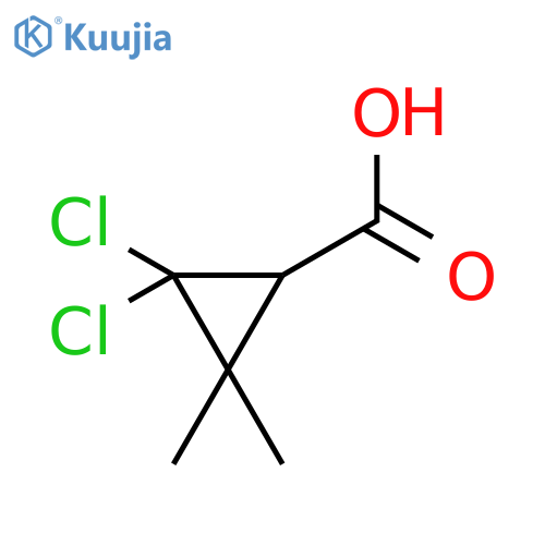 Cyclopropanecarboxylic acid, 2,2-dichloro-3,3-dimethyl- structure