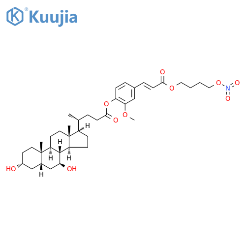 NCX 1000 structure