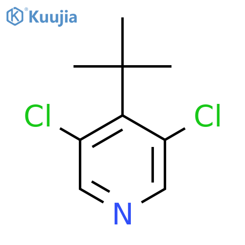 Pyridine, 3,5-dichloro-4-(1,1-dimethylethyl)- structure