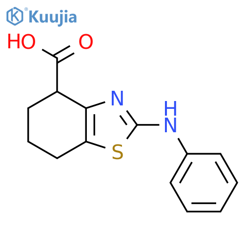 2-(Phenylamino)-4,5,6,7-tetrahydro-1,3-benzothiazole-4-carboxylic acid structure