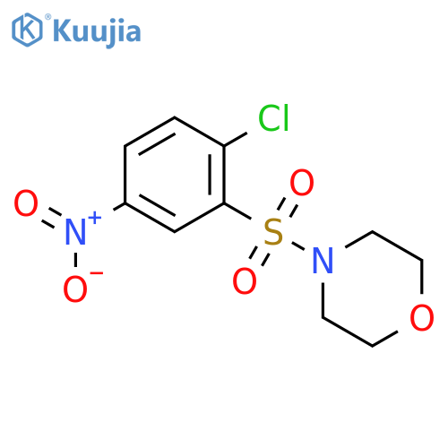 4-(2-chloro-5-nitrobenzenesulfonyl)morpholine structure