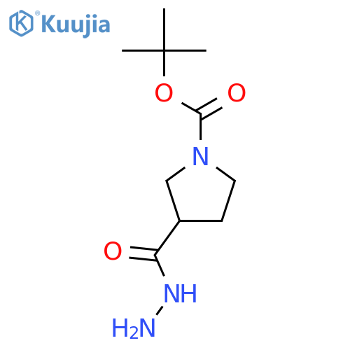 Tert-butyl 3-(hydrazinecarbonyl)pyrrolidine-1-carboxylate structure