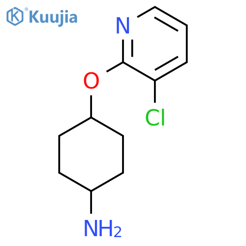 {4-[(3-chloropyridin-2-yl)oxy]cyclohexyl}amine structure