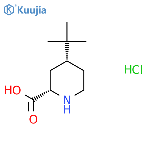 (2S,4R)-4-Tert-butylpiperidine-2-carboxylic acid;hydrochloride structure