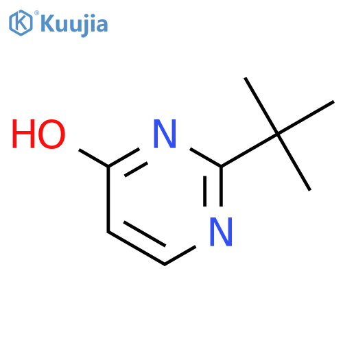 2-tert-butyl-3,4-dihydropyrimidin-4-one structure