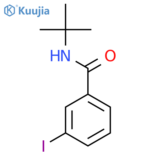N-tert-butyl-3-iodobenzamide structure