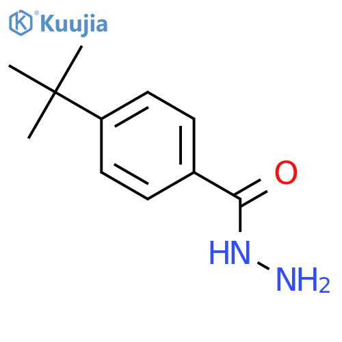 4-Tert-Butylbenzhydrazide structure