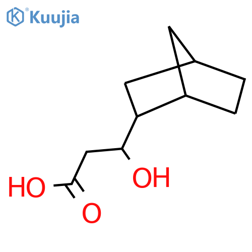 3-{bicyclo2.2.1heptan-2-yl}-3-hydroxypropanoic acid structure